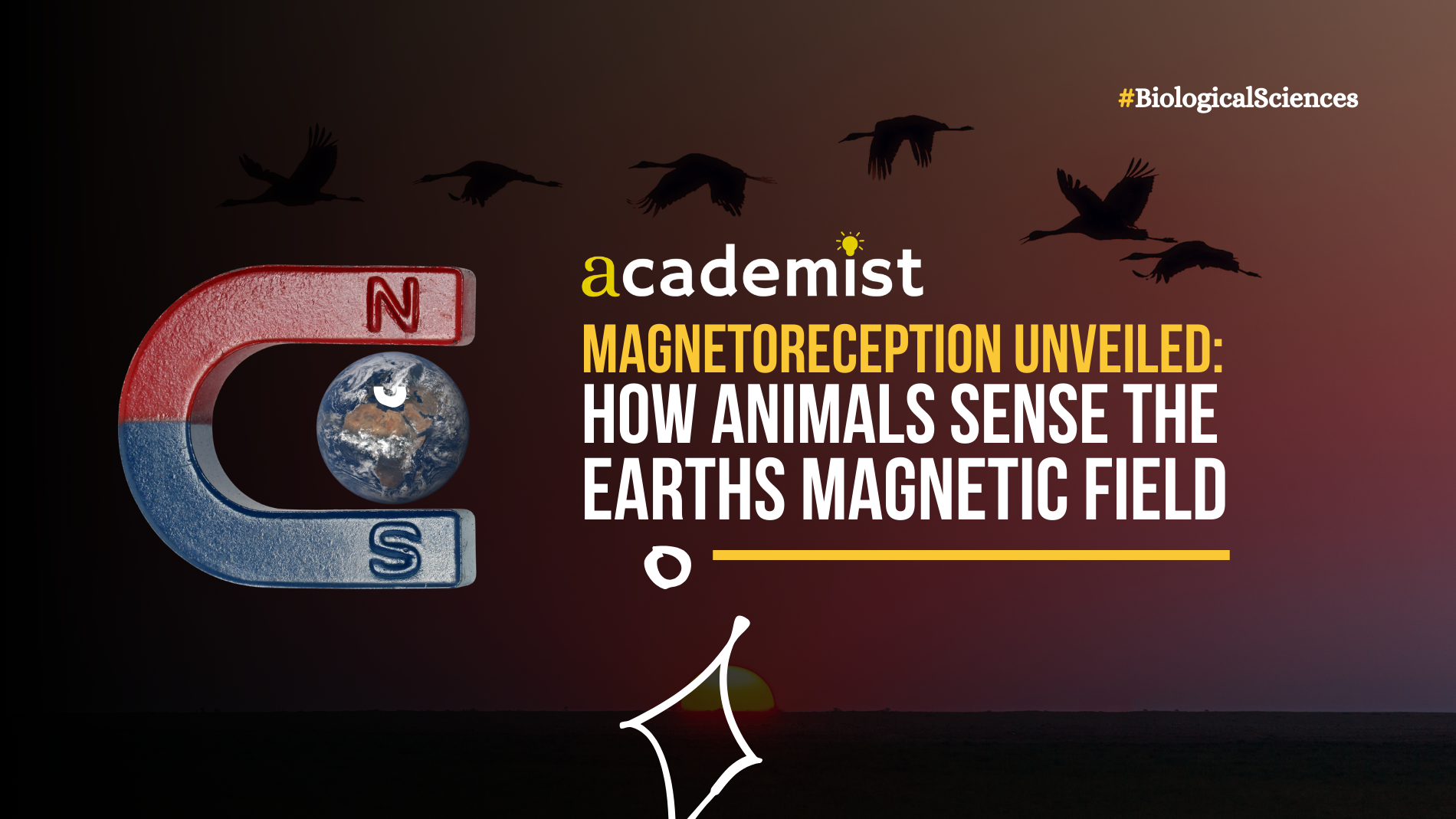 Magnetoreception Unveiled: How Animals Sense the Earths Magnetic Field